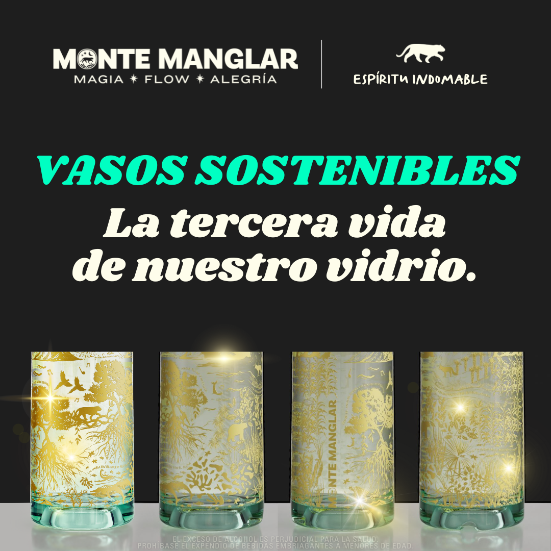 MERCH VASOS SOSTENIIBLES MONTE MANGLAR x 4 UND