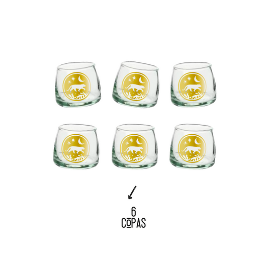Copas Vicheras x6