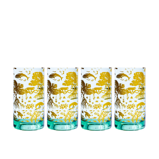 Vasos del Manglar x4 ♻️